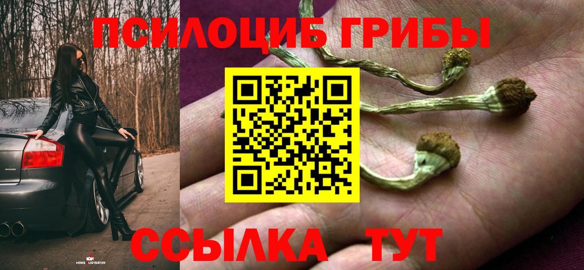 Галлюциногенные грибы мицелий Сафоново